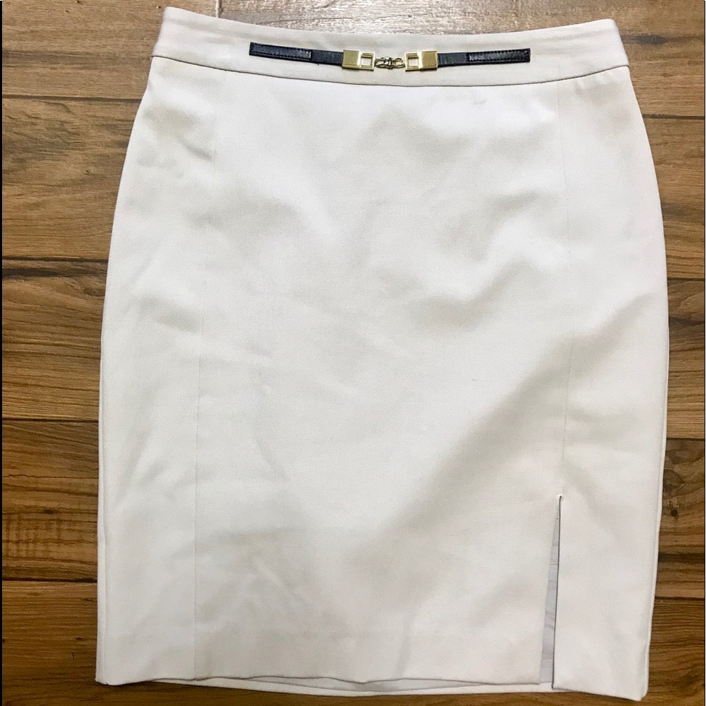 Express Pencil Skirt